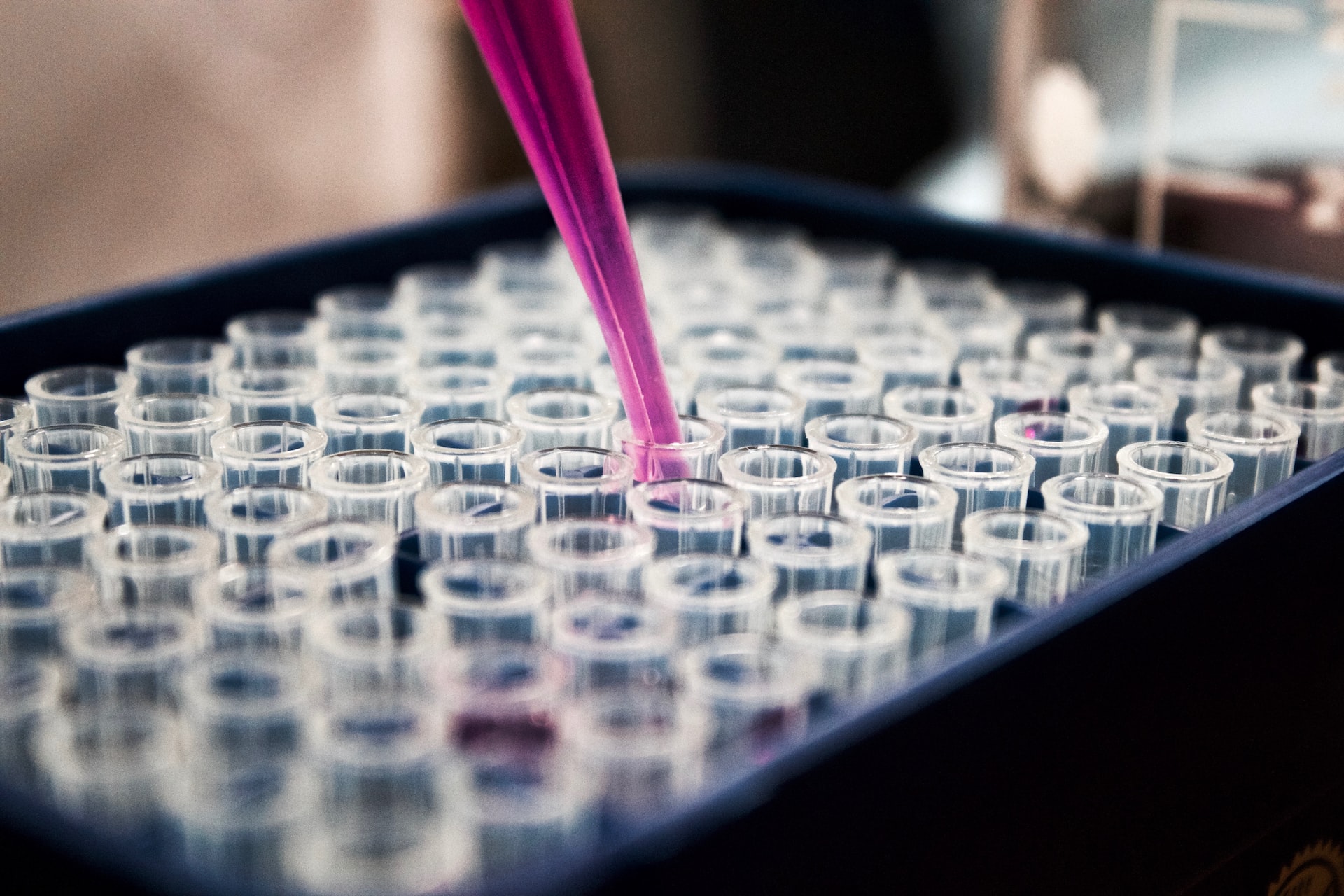 Highest Paid Clinical Trials Find Paid Clinical Trials
